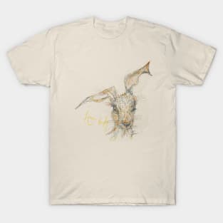 Hare Today T-Shirt